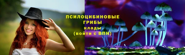 таблы Армянск