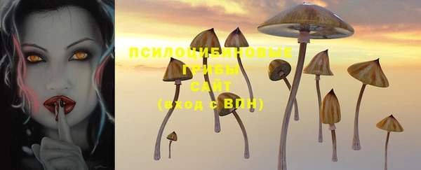 таблы Армянск