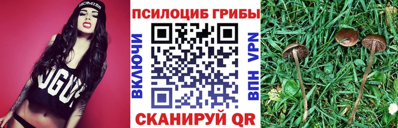 Галлюциногенные грибы MAGIC MUSHROOMS Строитель