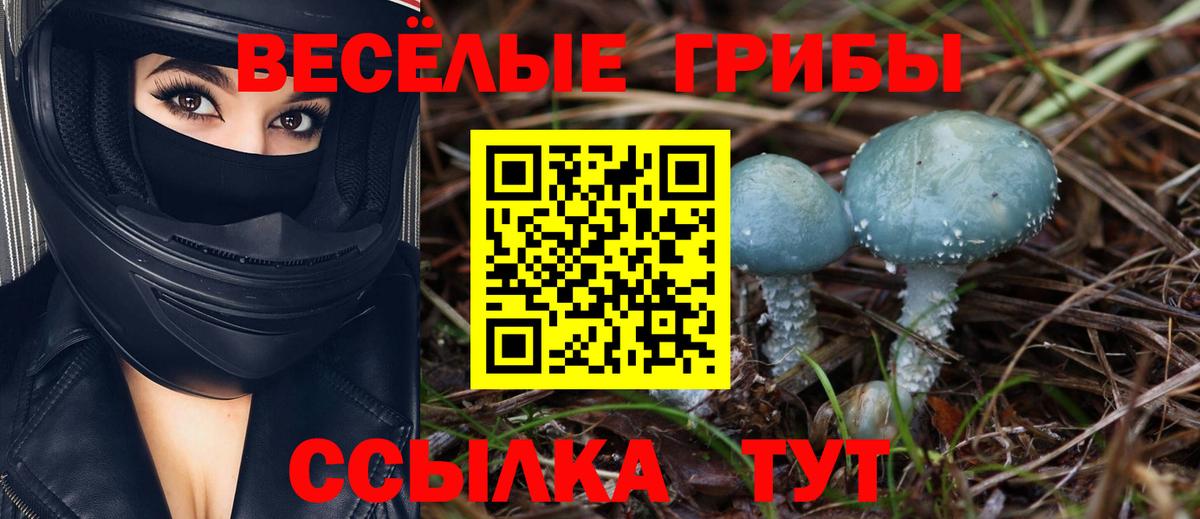 Галлюциногенные грибы прущие грибы  Вход с VPN  Строитель 